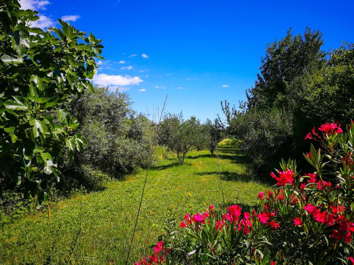 Ecohouse Oliveglia Villa Silo  Exterior photo