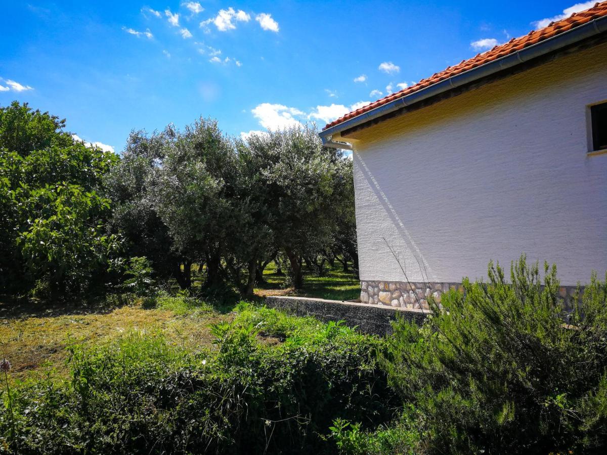 Ecohouse Oliveglia Villa Silo  Exterior photo